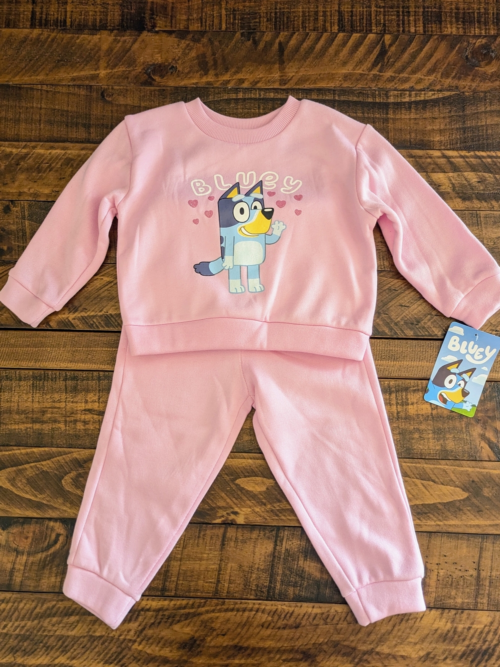 Bluey Girls Pink Fleece 2pc Outfit Set Sweatshirt & Pants Long Sleeve 24 Months